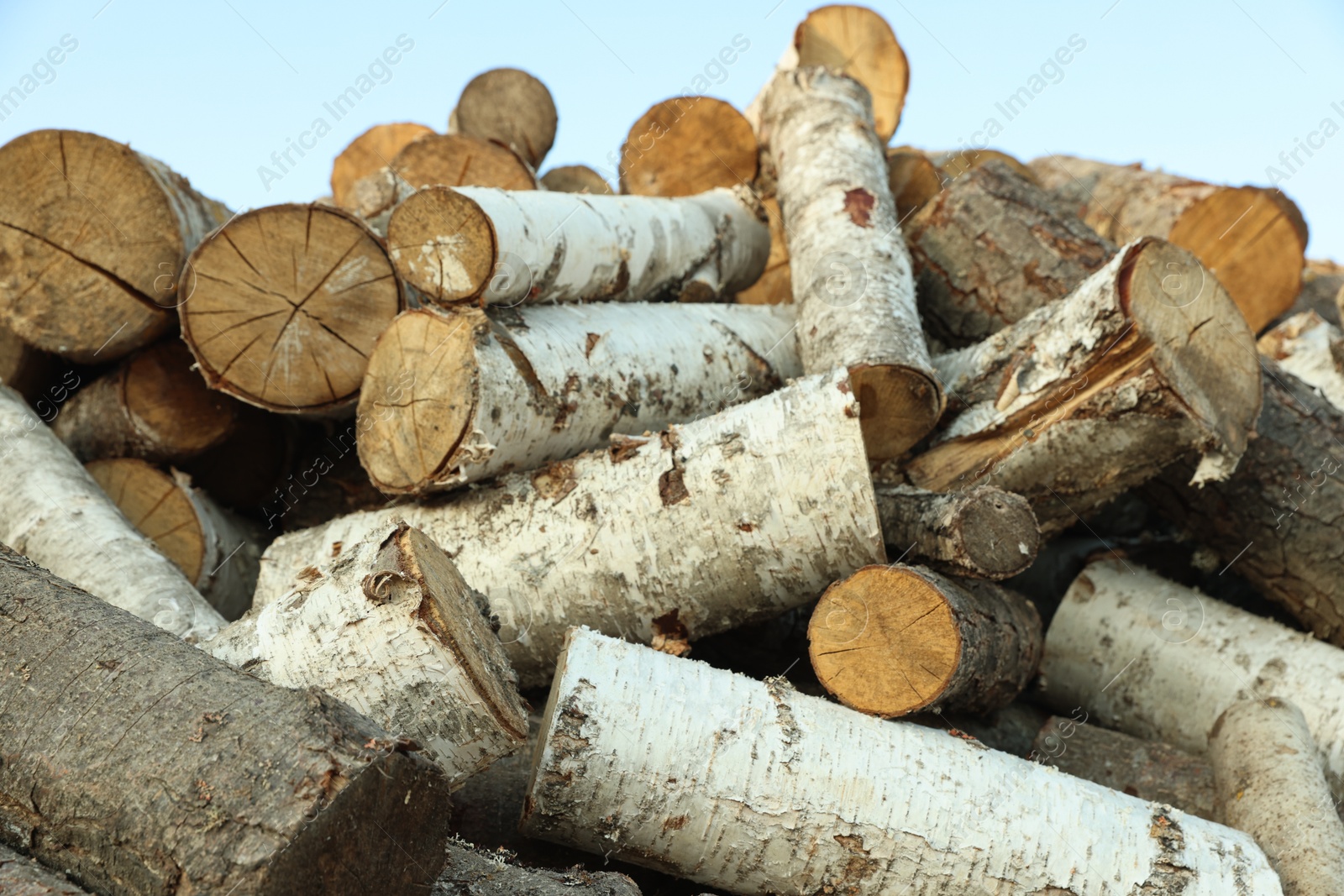 Photo of Pile of cut firewood outdoors, closeup view