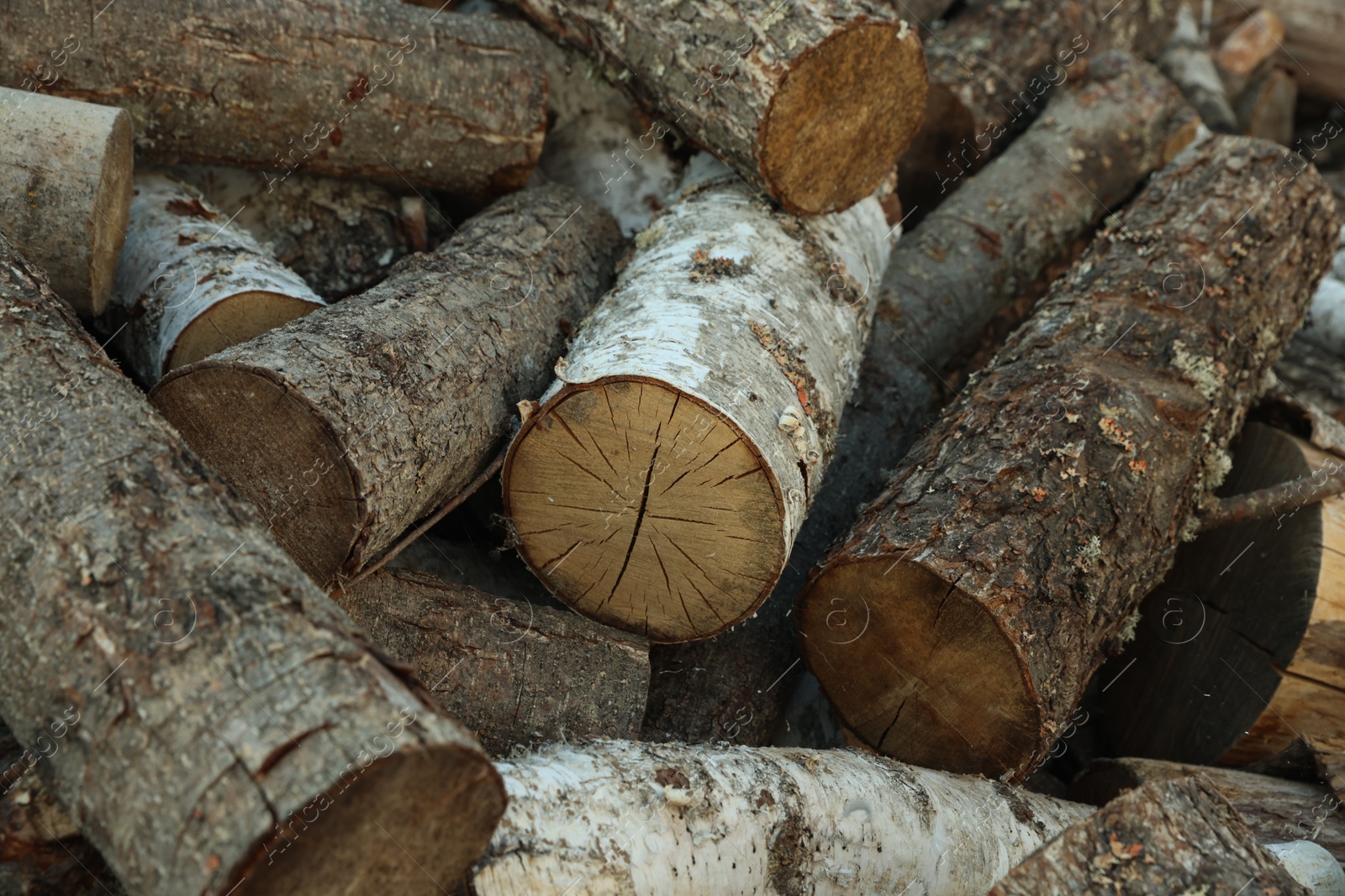 Photo of Pile of cut firewood outdoors, closeup view