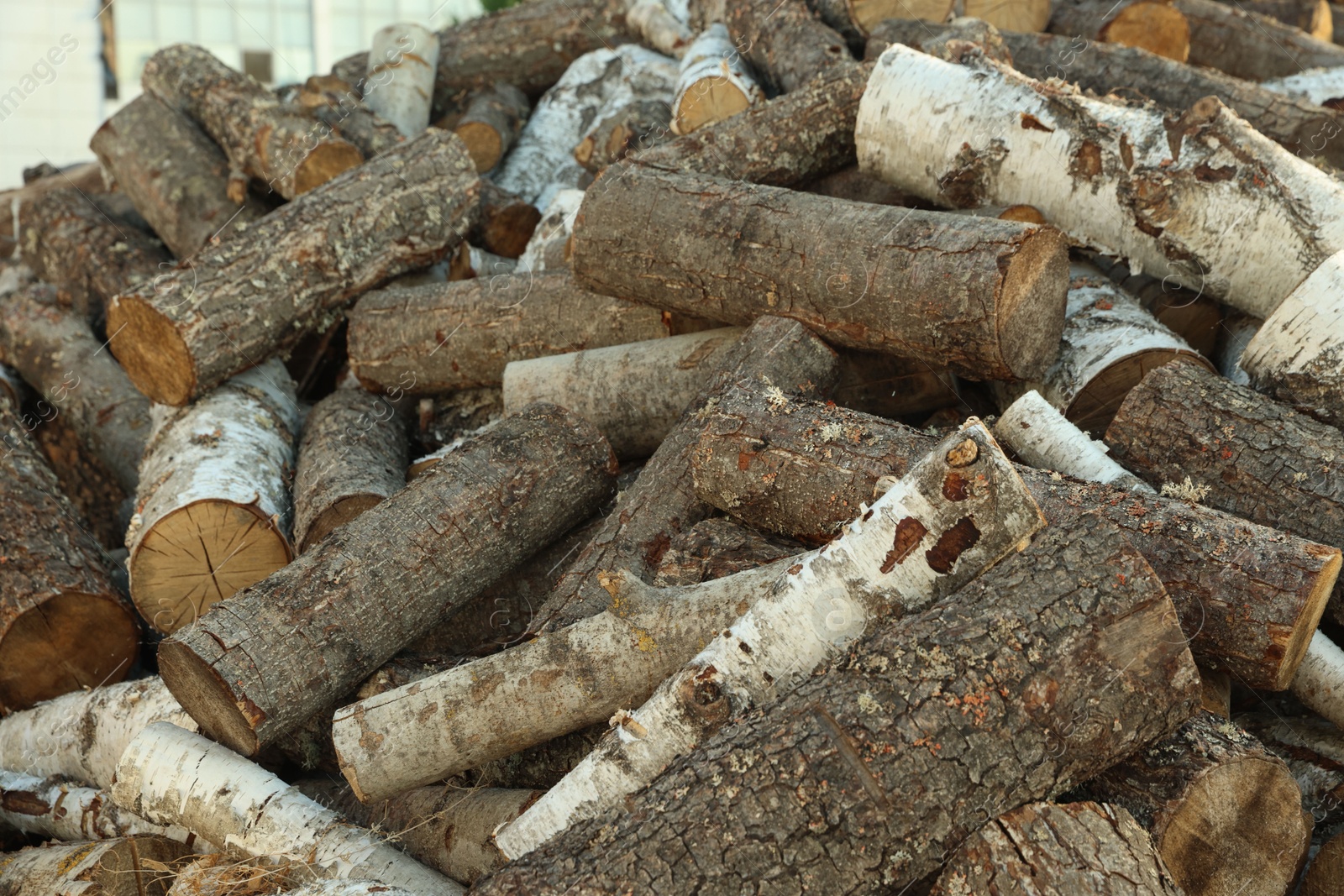 Photo of Pile of cut firewood outdoors, closeup view