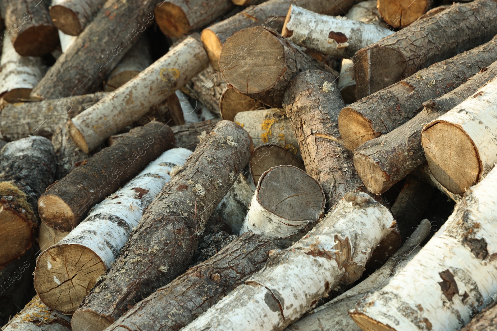 Photo of Pile of cut firewood outdoors, closeup view