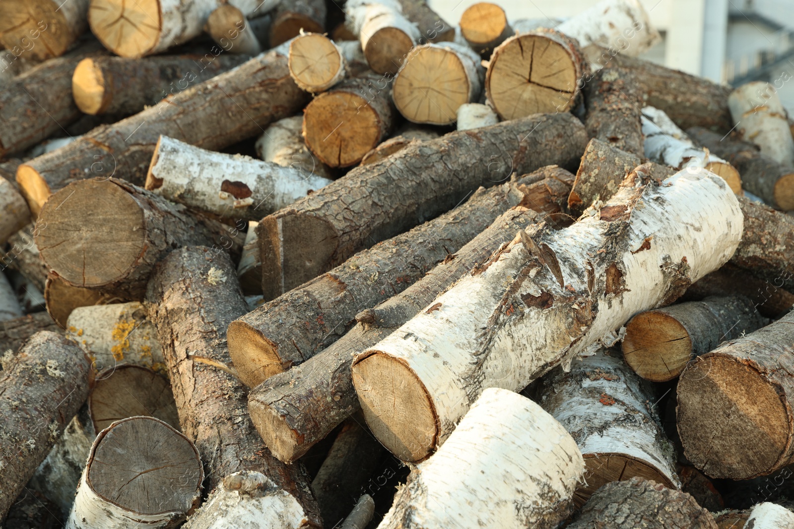 Photo of Pile of cut firewood outdoors, closeup view
