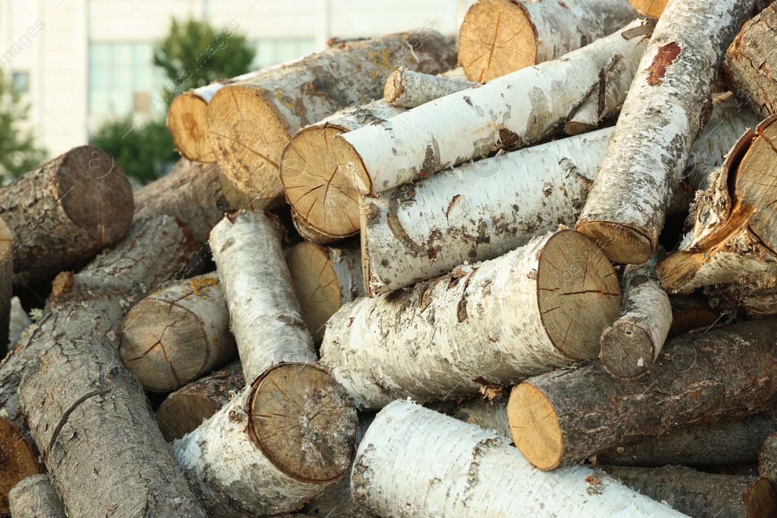 Pile of cut firewood outdoors, closeup view Photo of Pile of cut firewood outdoors, closeup view