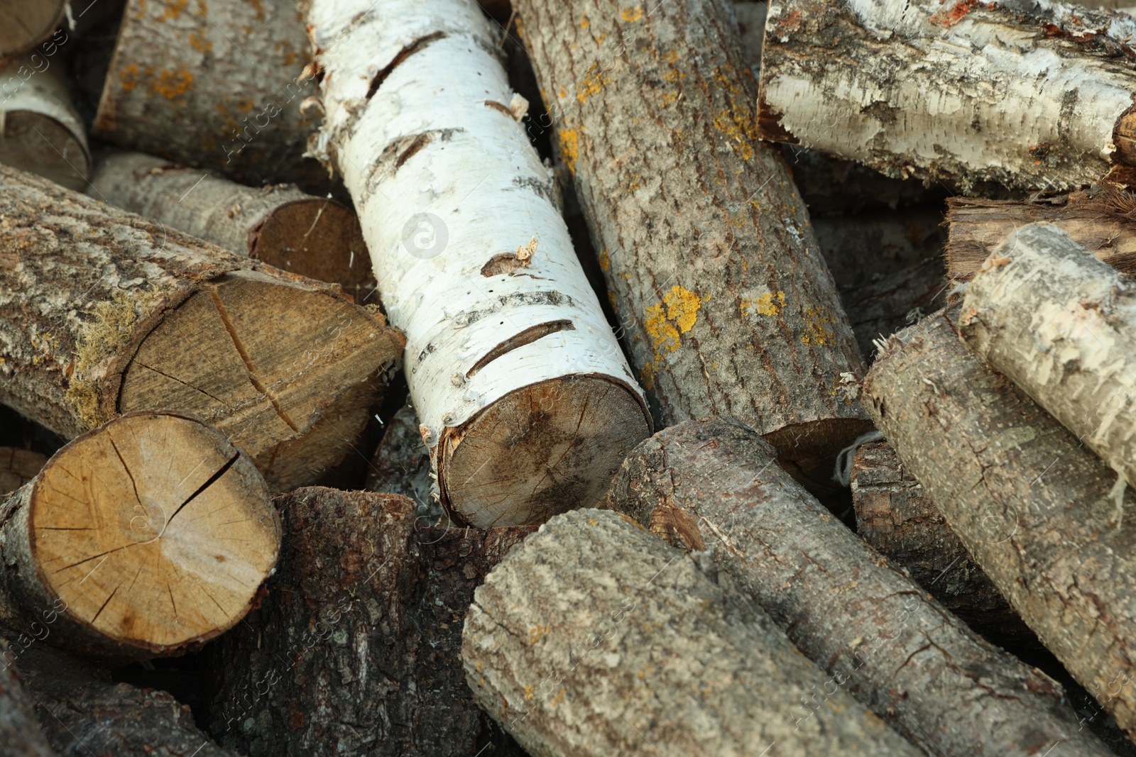 Photo of Pile of cut firewood outdoors, closeup view