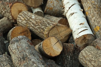Photo of Pile of cut firewood outdoors, closeup view