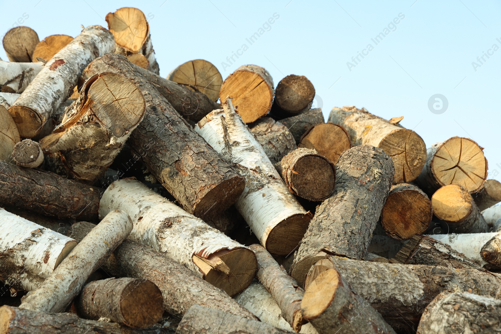 Photo of Pile of cut firewood outdoors, closeup view