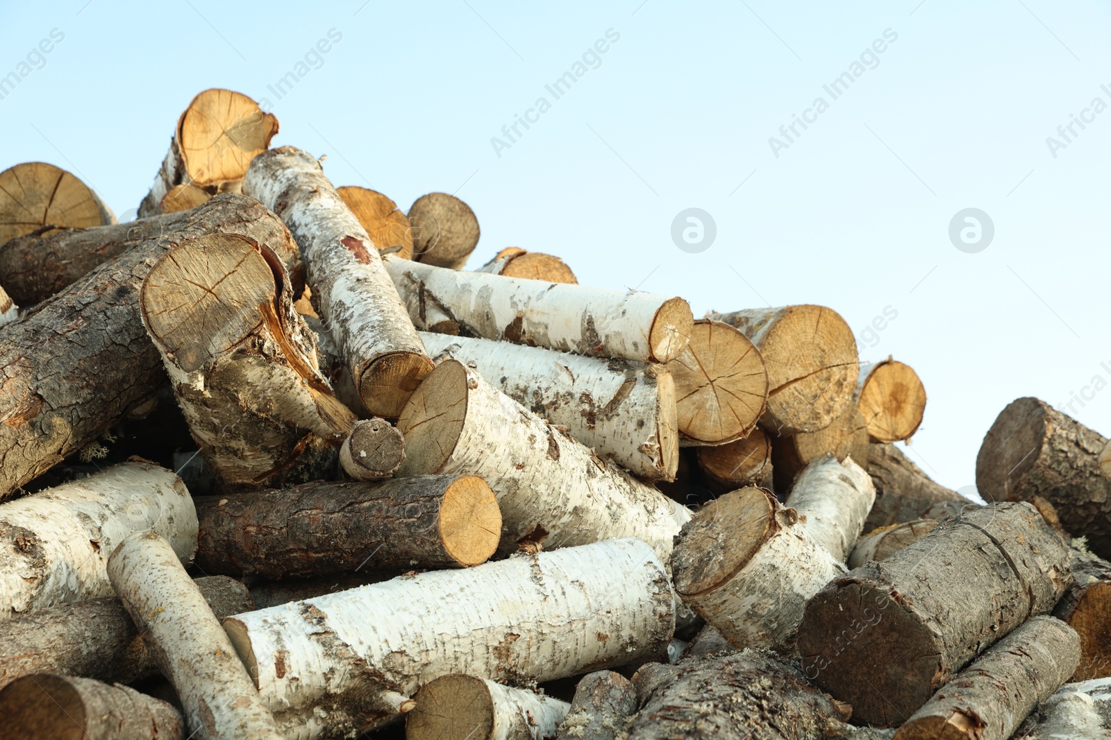 Photo of Pile of cut firewood outdoors, closeup view