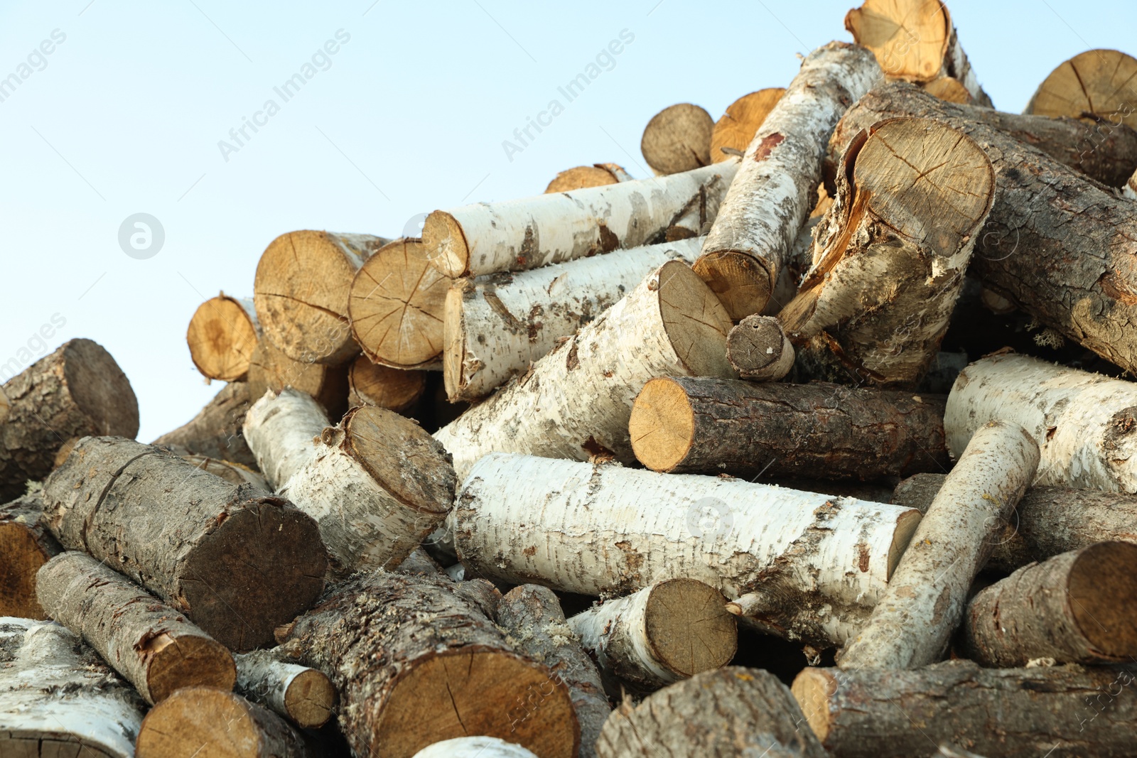 Photo of Pile of cut firewood outdoors, closeup view