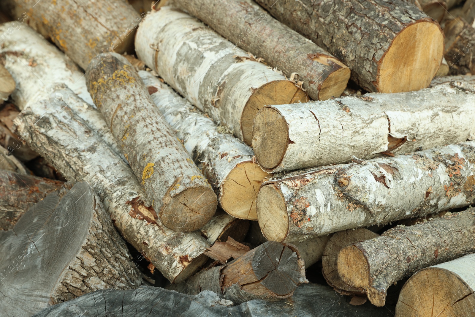 Photo of Pile of cut firewood outdoors, closeup view