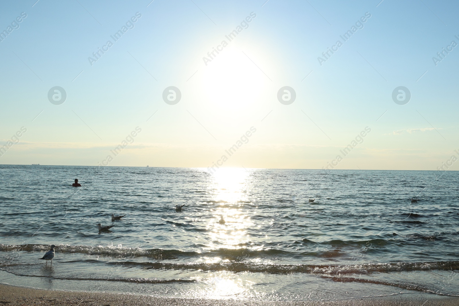 Photo of Beautiful sea and seagulls on sunny day