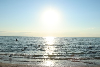 Photo of Beautiful sea and seagulls on sunny day