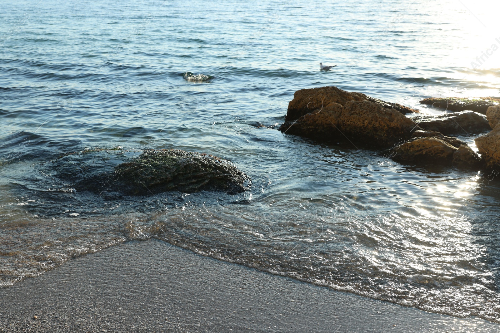 Photo of Beautiful wavy sea and stones on sunny day