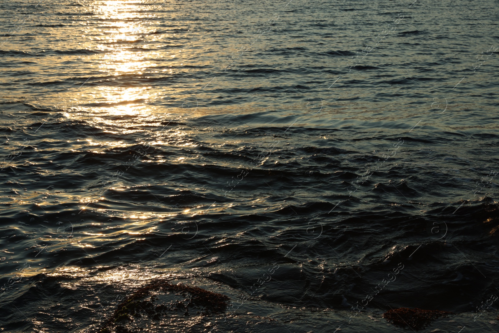 Photo of Beautiful wavy sea outdoors on sunny day
