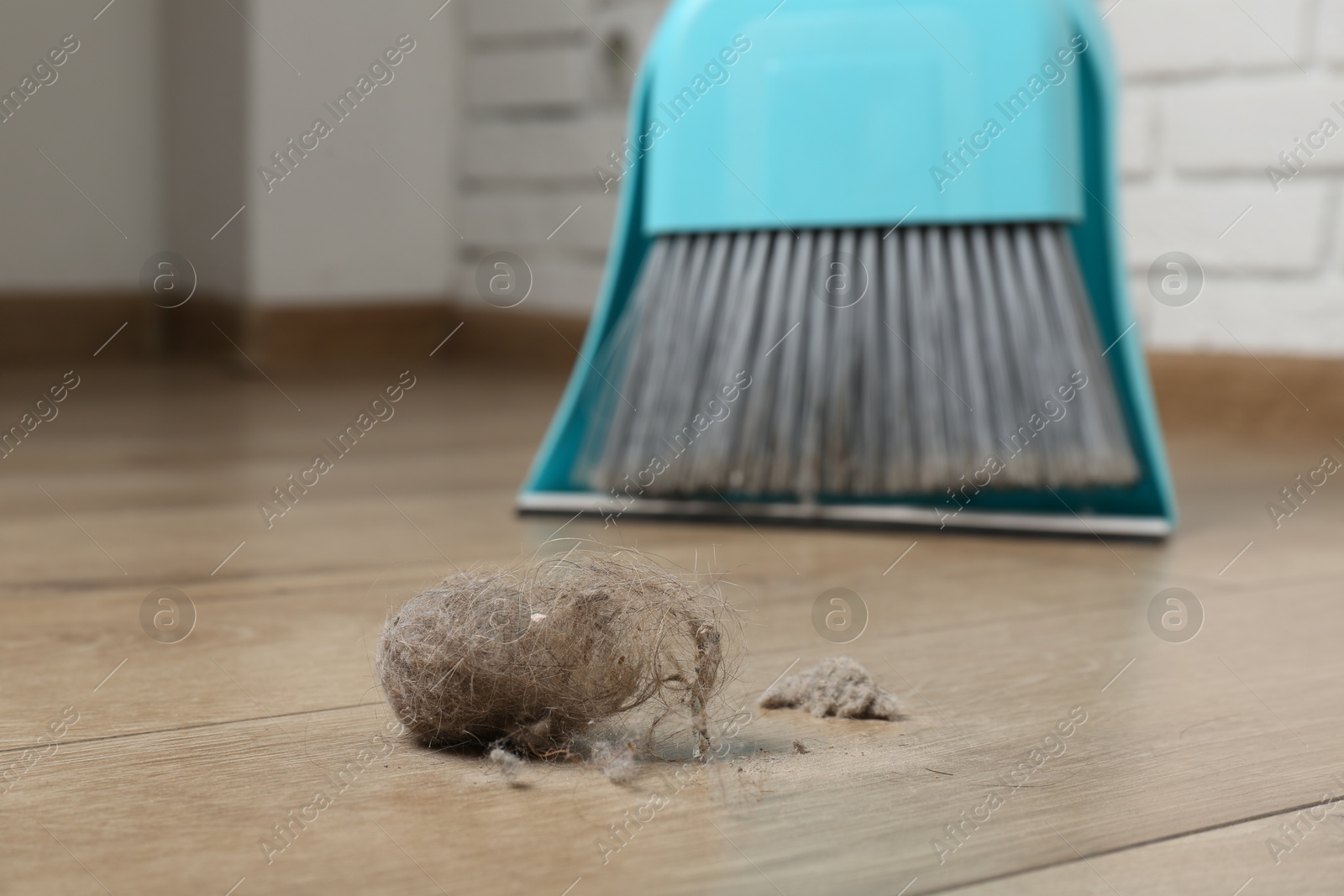 Photo of Dust bunny, dustpan and broom on floor indoors, closeup