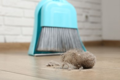 Photo of Dust bunny, dustpan and broom on floor indoors, closeup