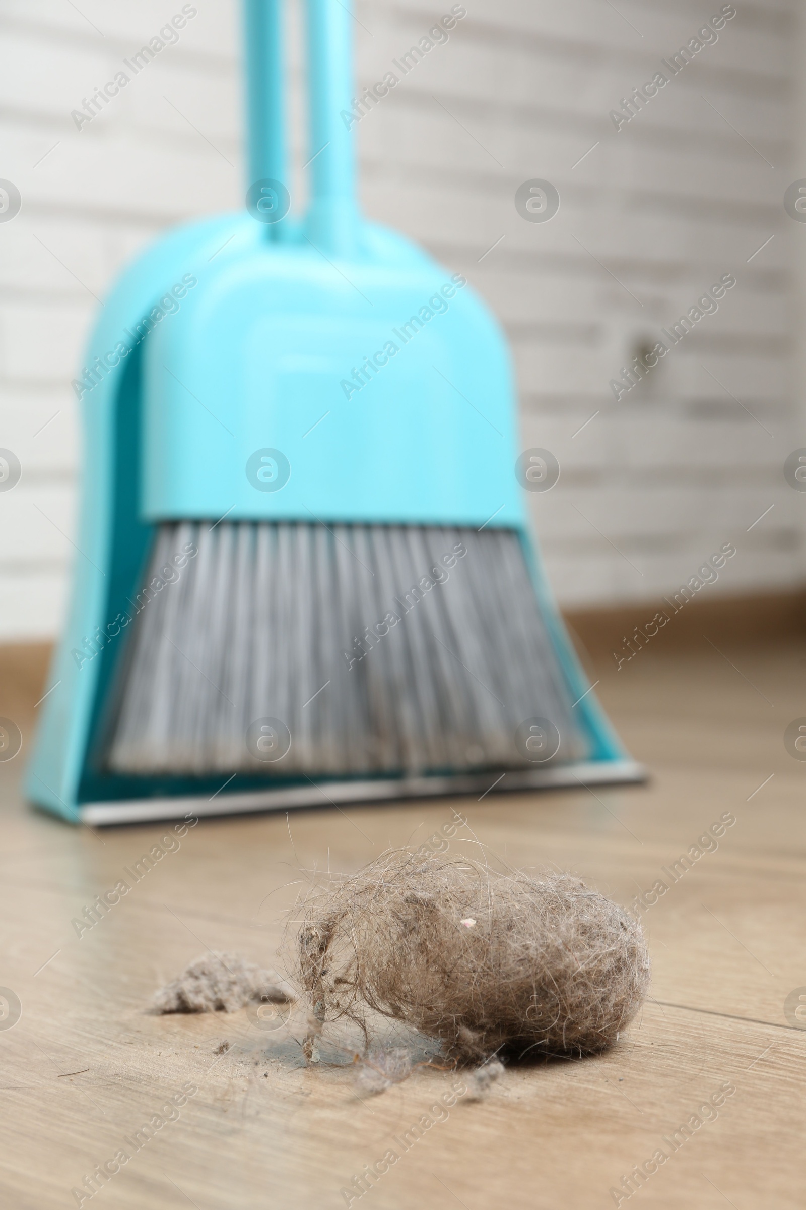 Photo of Dust bunny, dustpan and broom on floor indoors, closeup