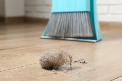 Photo of Dust bunny, dustpan and broom on floor indoors, closeup