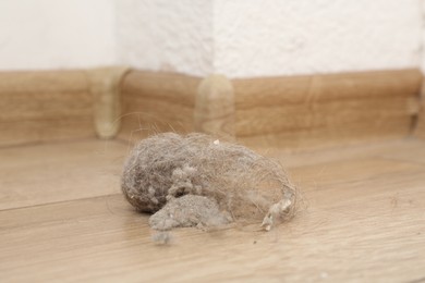 Photo of Clumps of dust on floor at home, closeup