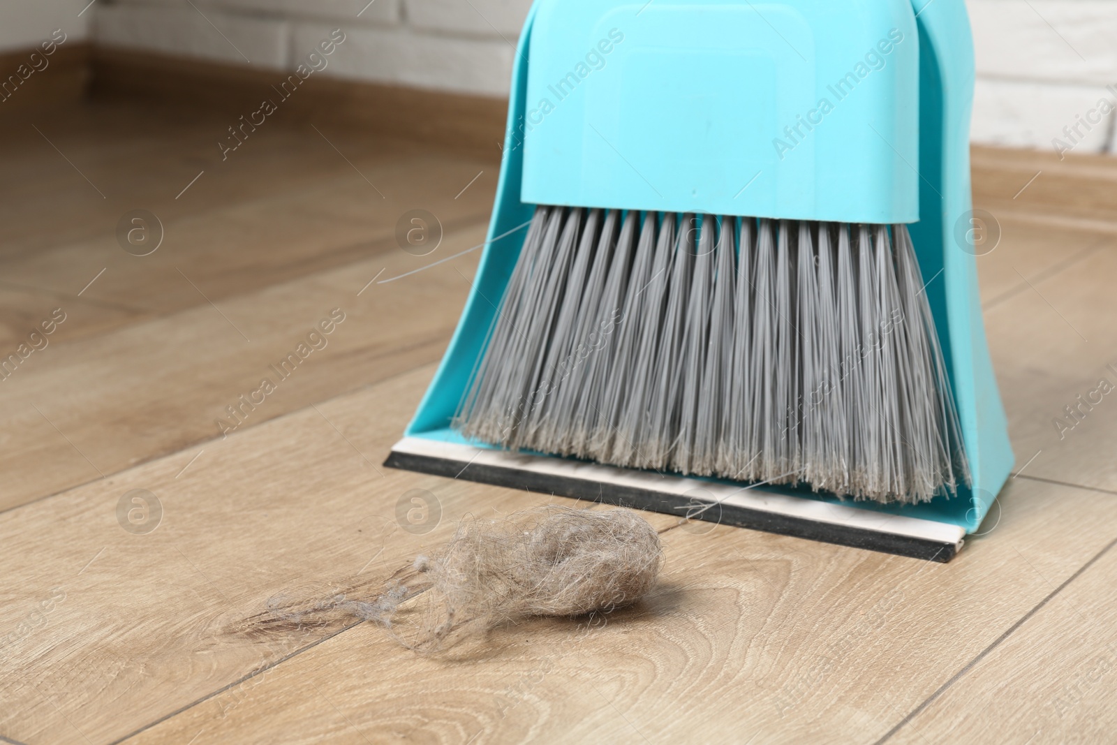 Dust bunny, dustpan and broom on floor indoors, closeup Photo of Dust bunny, dustpan and broom on floor indoors, closeup