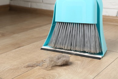 Photo of Dust bunny, dustpan and broom on floor indoors, closeup