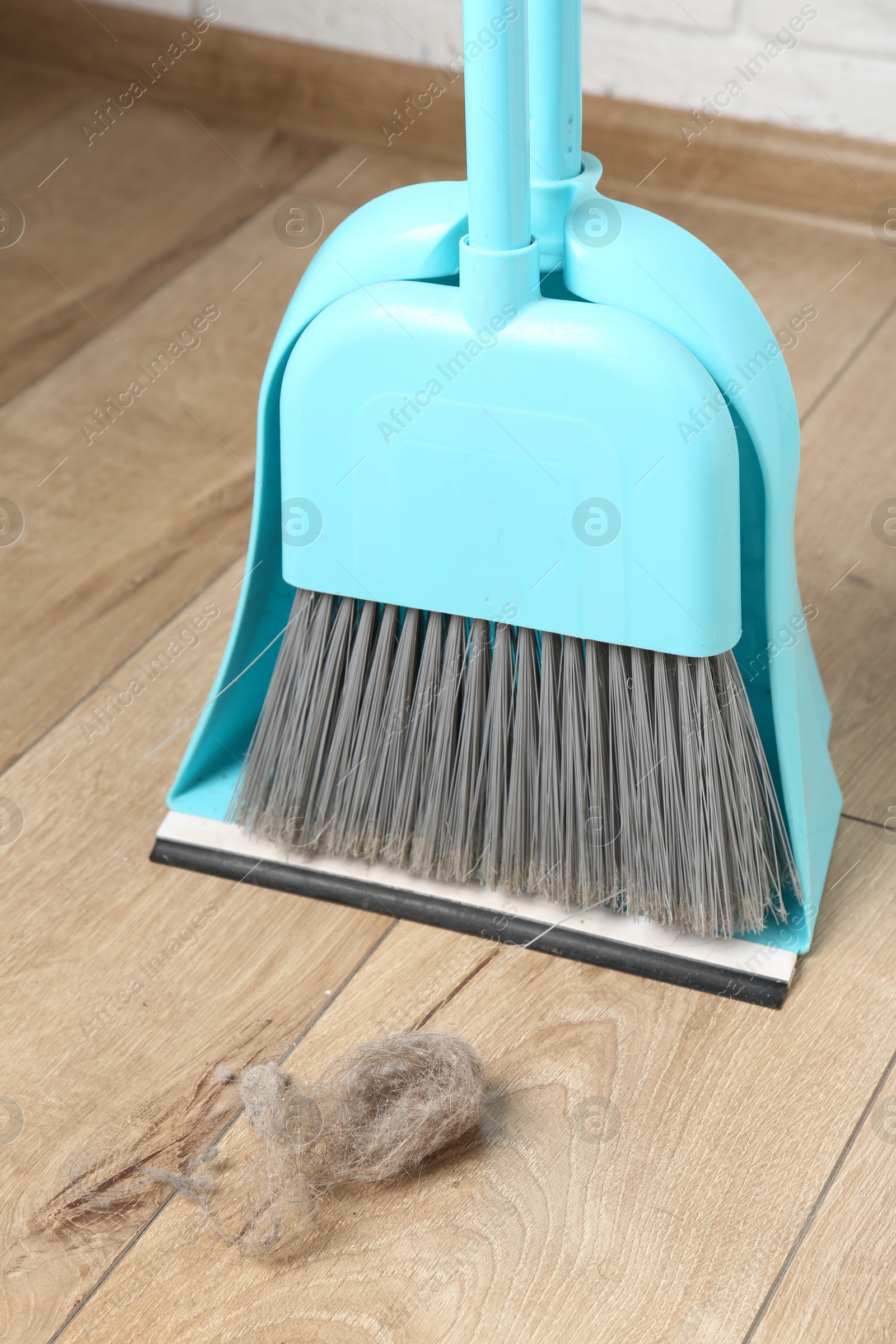 Dust bunny, dustpan and broom on floor indoors Photo of Dust bunny, dustpan and broom on floor indoors