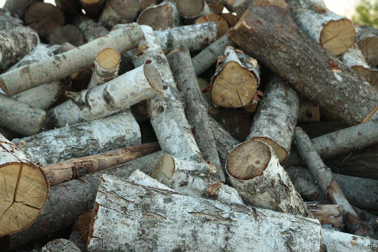 Photo of Pile of cut firewood outdoors, closeup view