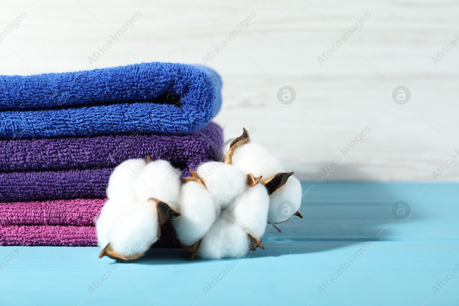 Photo of Colorful fresh terry towels and cotton flowers on blue wooden table against white background, closeup