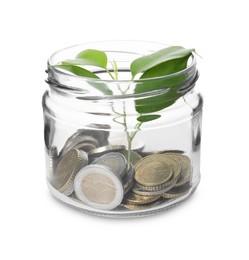 Photo of Glass jar with money and sprout isolated on white