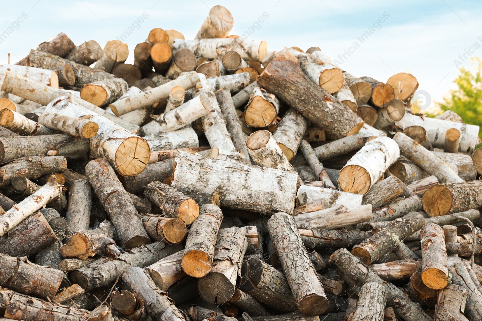 Photo of Pile of cut firewood outdoors, closeup view