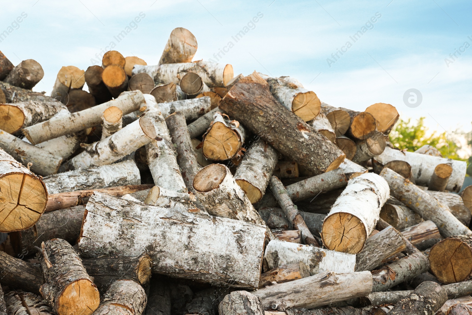 Photo of Pile of cut firewood outdoors, closeup view
