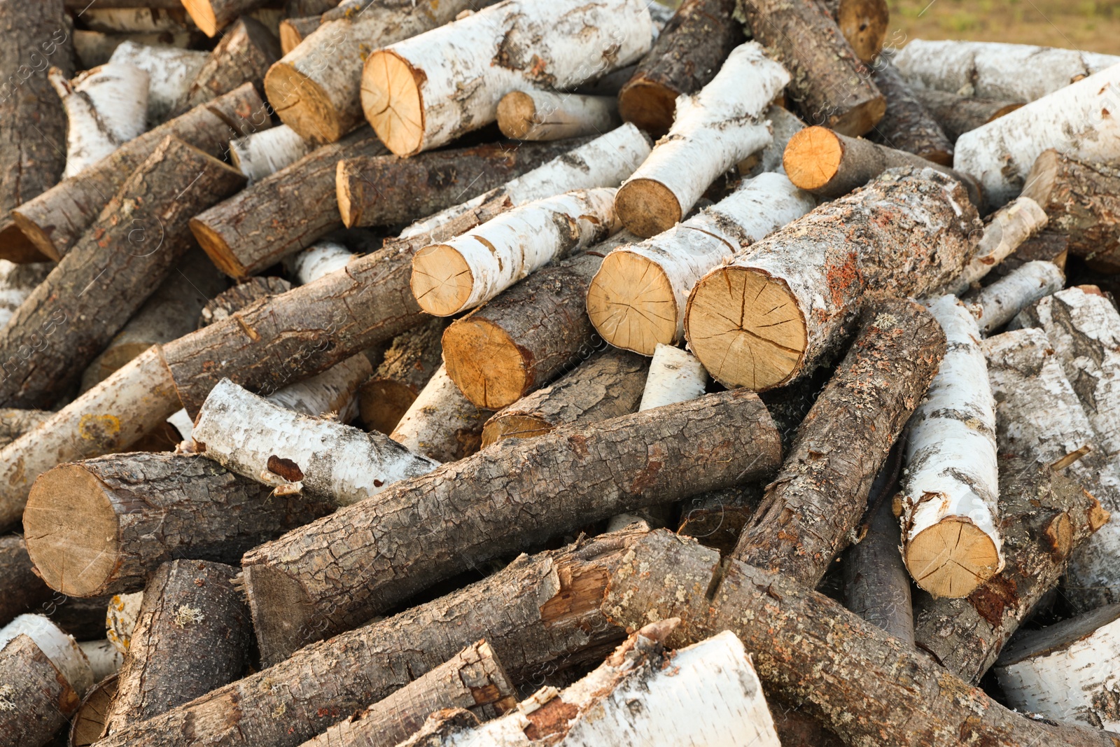 Photo of Pile of cut firewood outdoors, closeup view