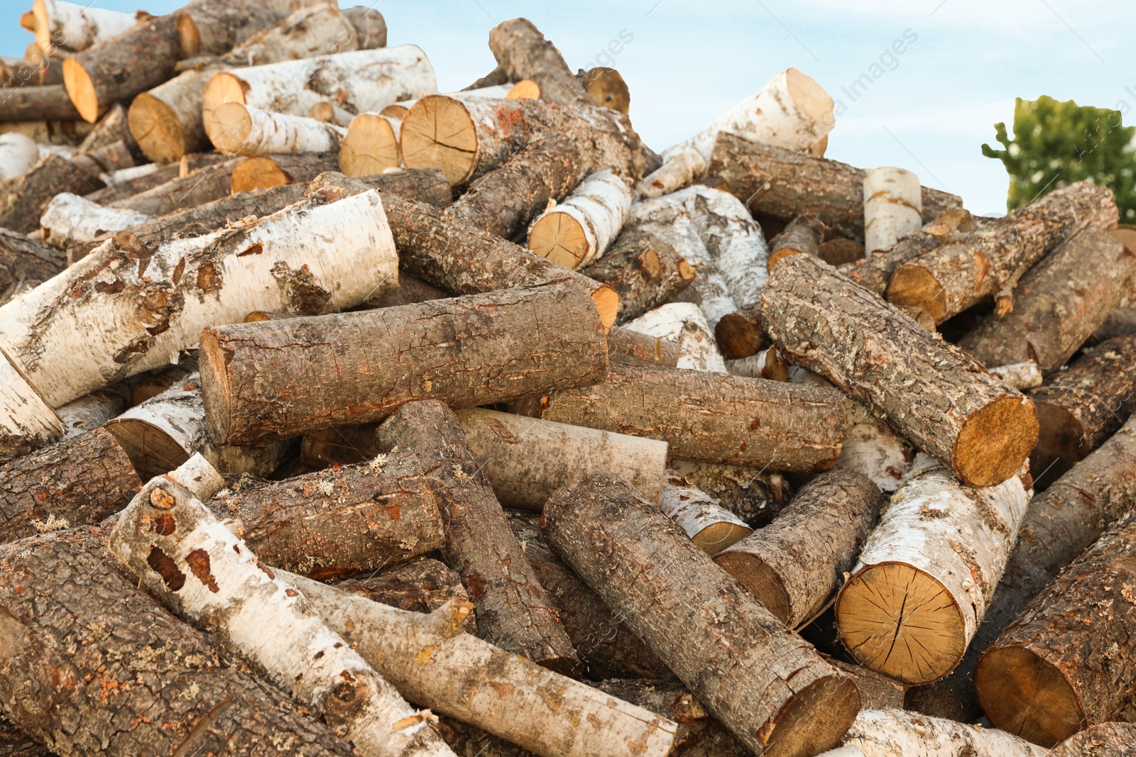 Photo of Pile of cut firewood outdoors, closeup view