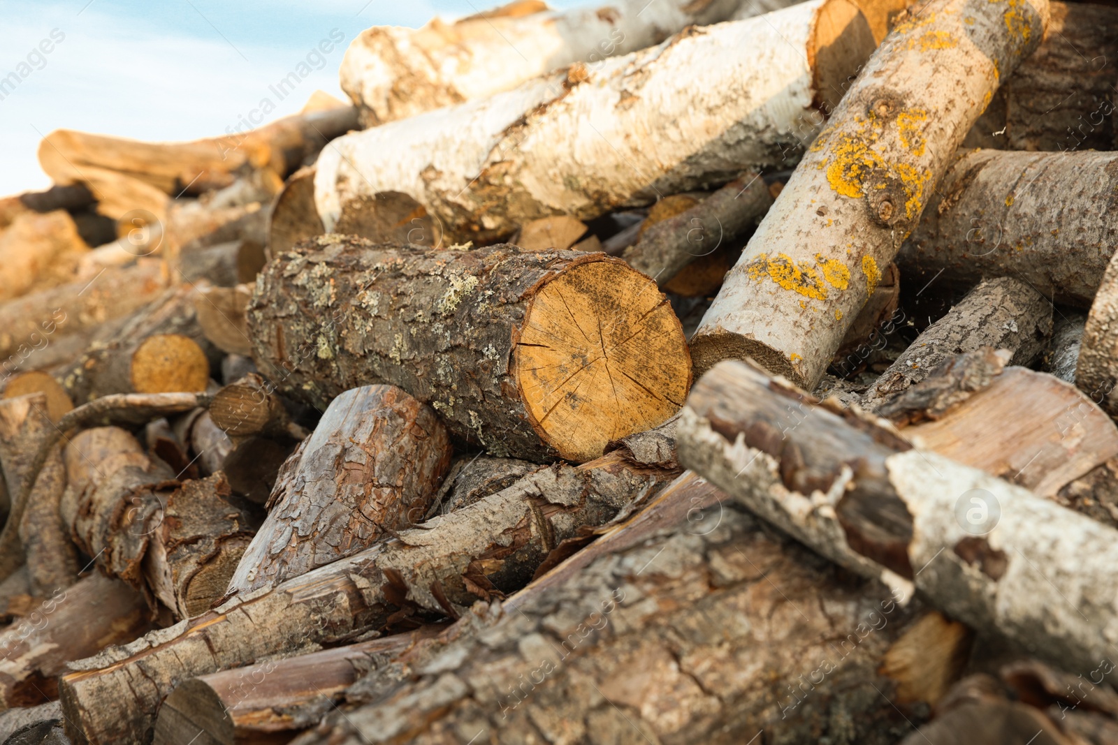 Pile of cut firewood outdoors, closeup view Photo of Pile of cut firewood outdoors, closeup view