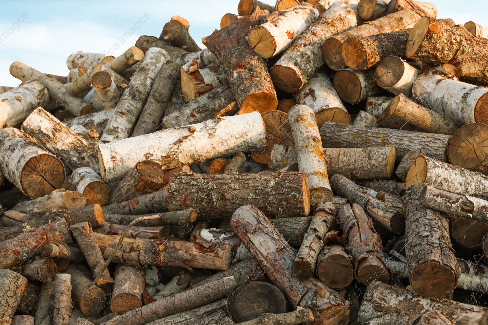 Photo of Pile of cut firewood outdoors, closeup view
