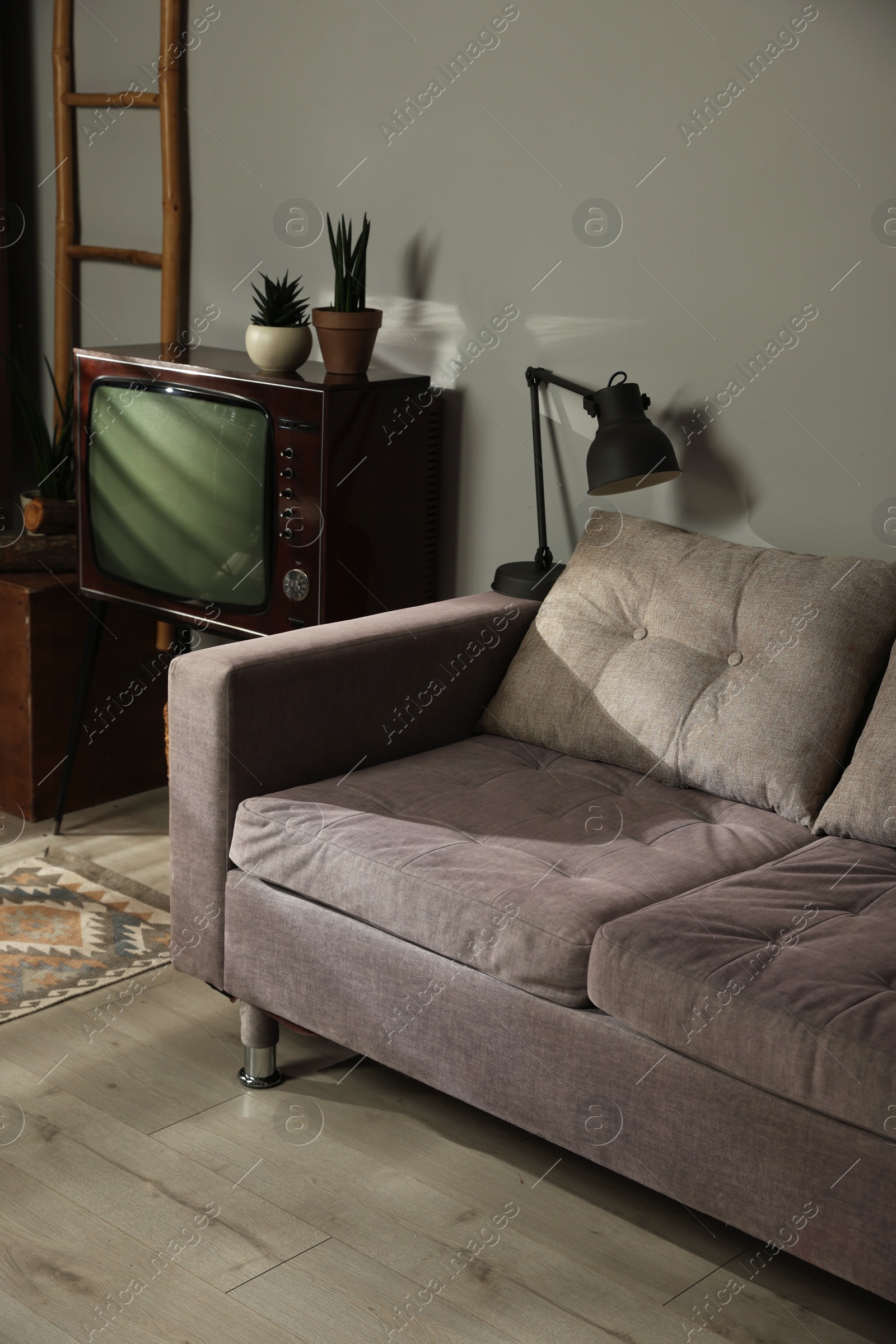 Soft sofa, retro TV set and other used stuff indoors Photo of Soft sofa, retro TV set and other used stuff indoors