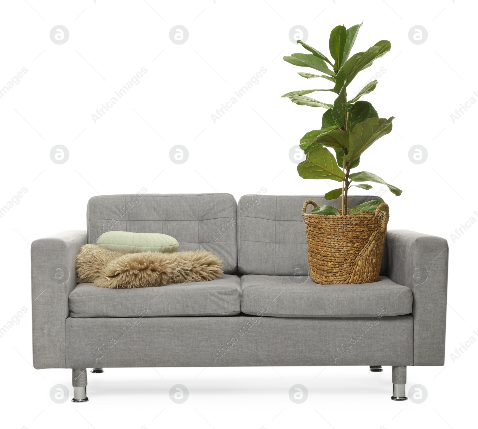 Photo of Soft sofa and other used stuff isolated on white