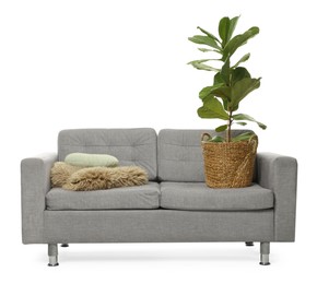 Photo of Soft sofa and other used stuff isolated on white