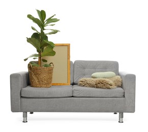 Photo of Soft sofa and other used stuff isolated on white