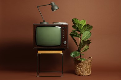 Photo of Retro TV set on stand, houseplant and lamp against brown background. Used stuff