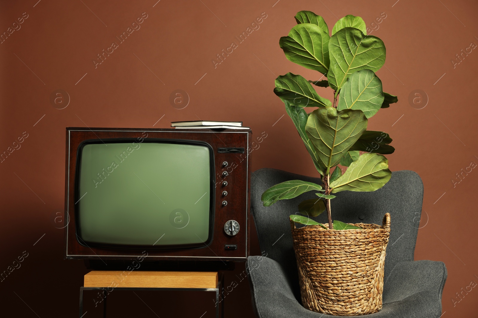 Photo of Retro TV set on stand, houseplant and armchair against brown background. Used stuff