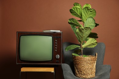 Photo of Retro TV set on stand, houseplant and armchair against brown background. Used stuff