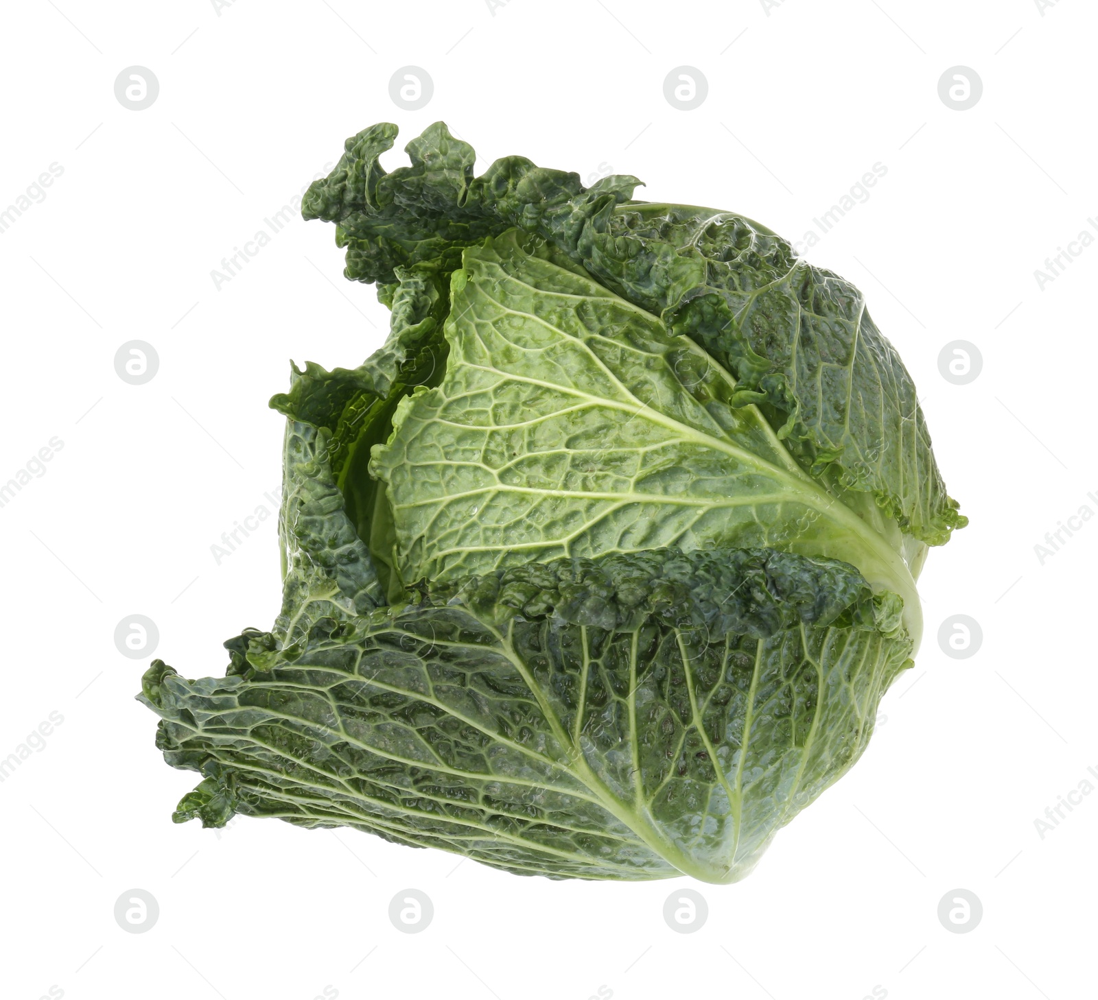 Photo of One fresh Savoy cabbage isolated on white