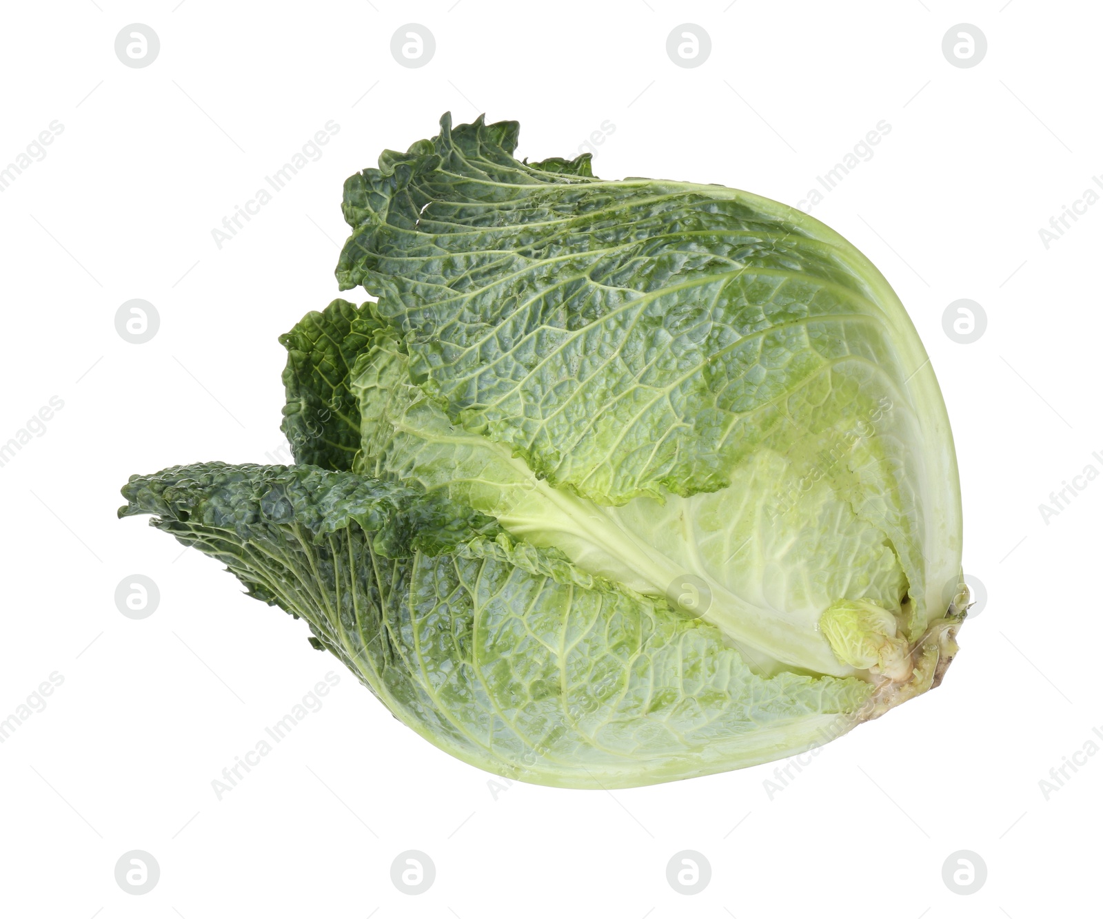 Photo of One fresh Savoy cabbage isolated on white