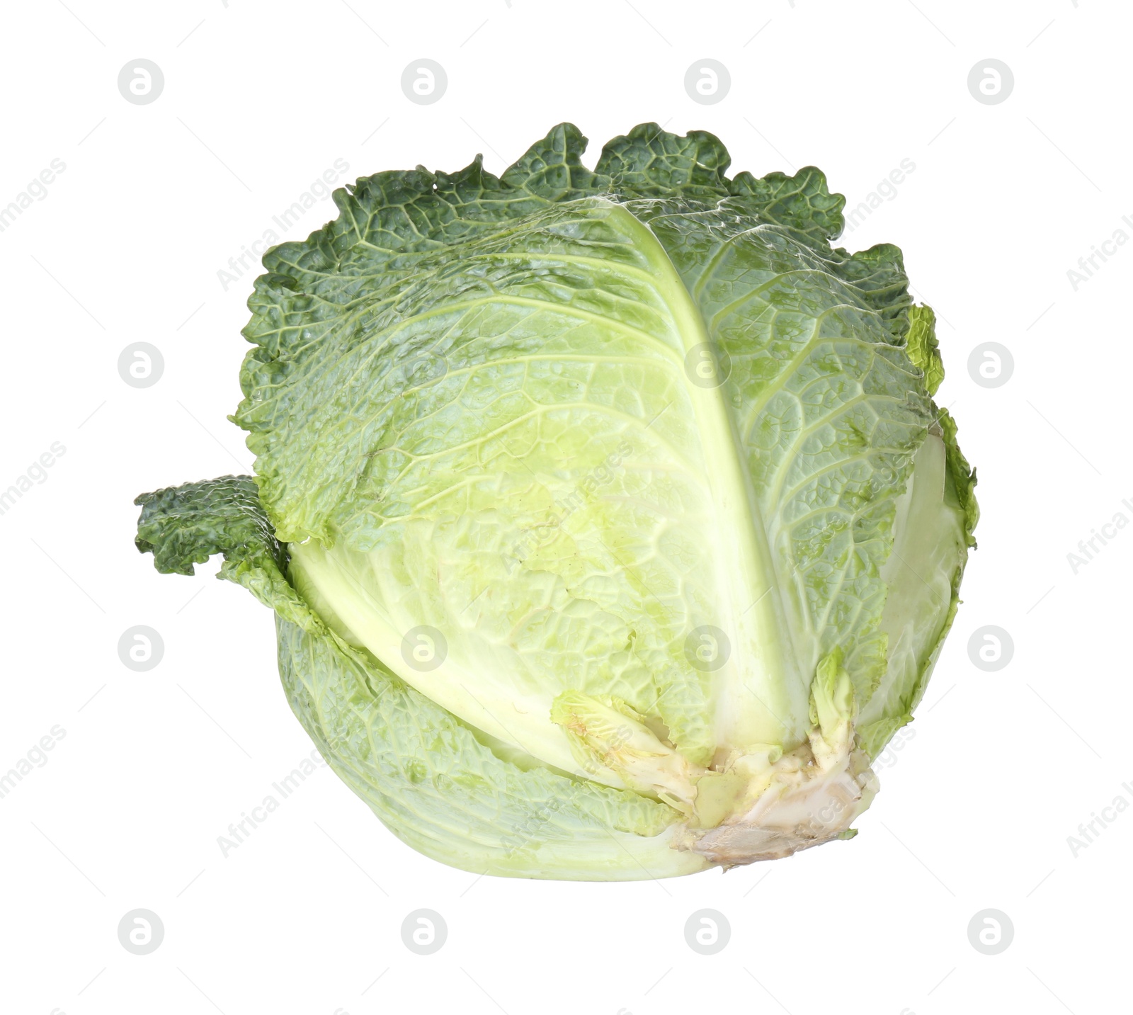Photo of One fresh Savoy cabbage isolated on white