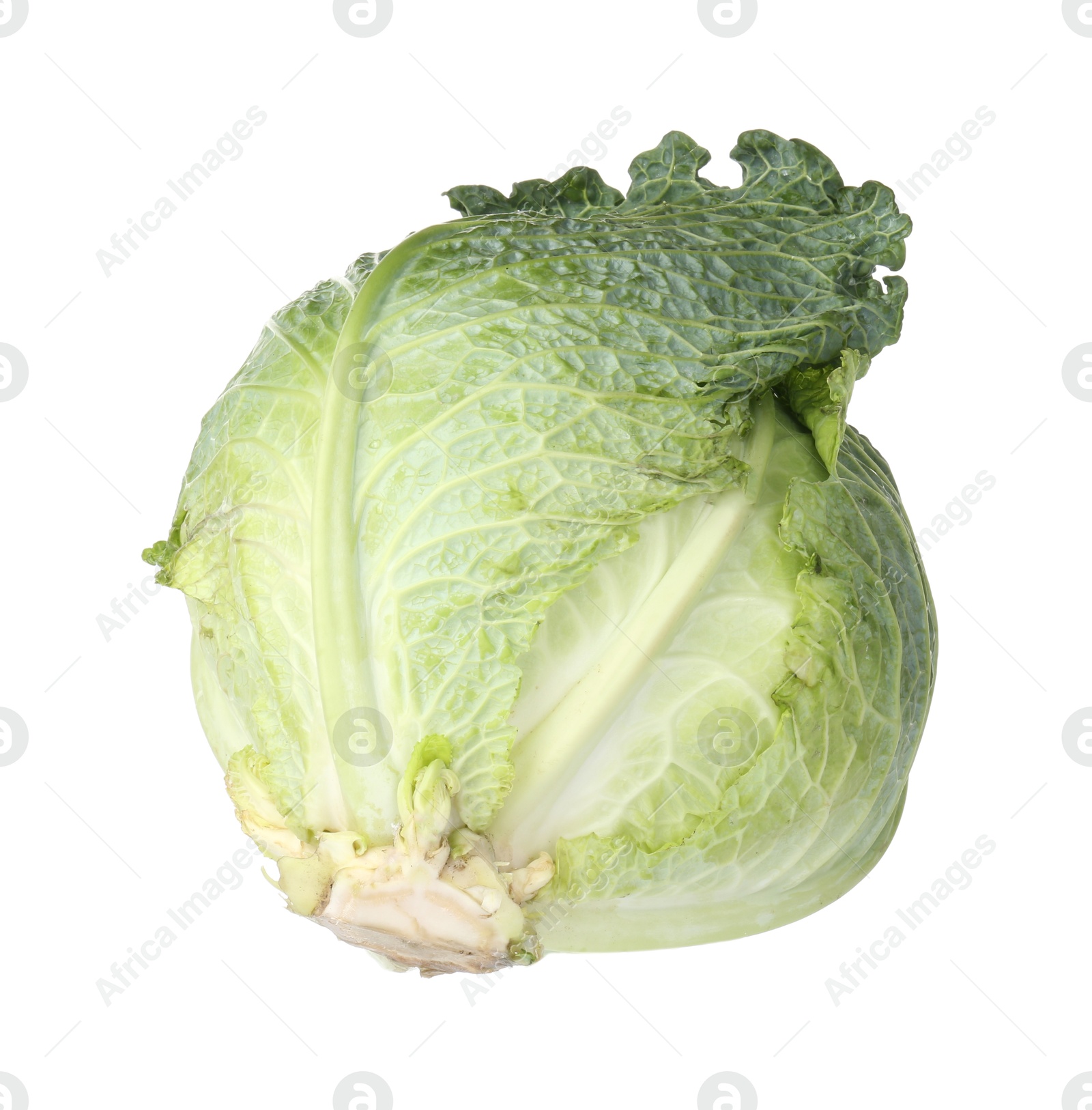 Photo of One fresh Savoy cabbage isolated on white