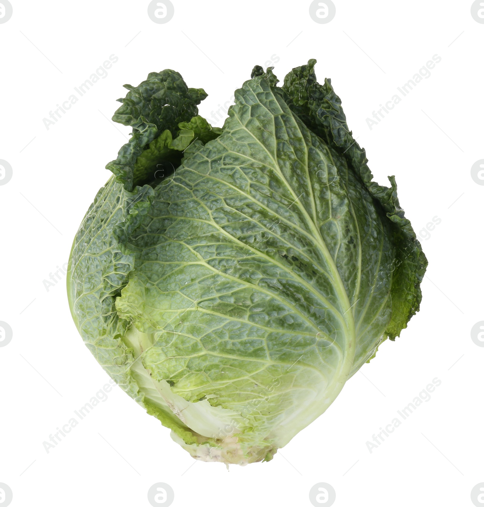 Photo of One fresh Savoy cabbage isolated on white