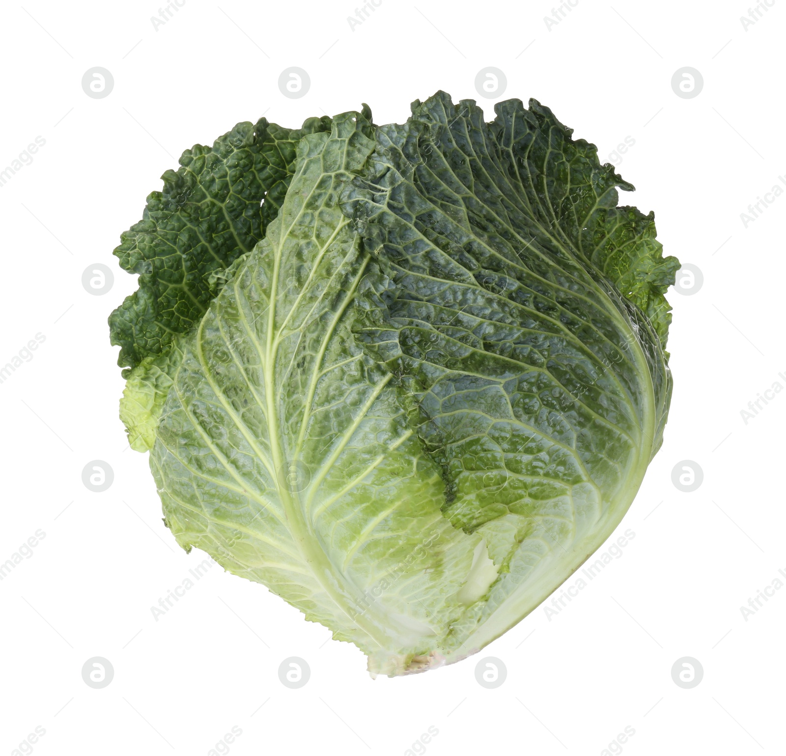 Photo of One fresh Savoy cabbage isolated on white