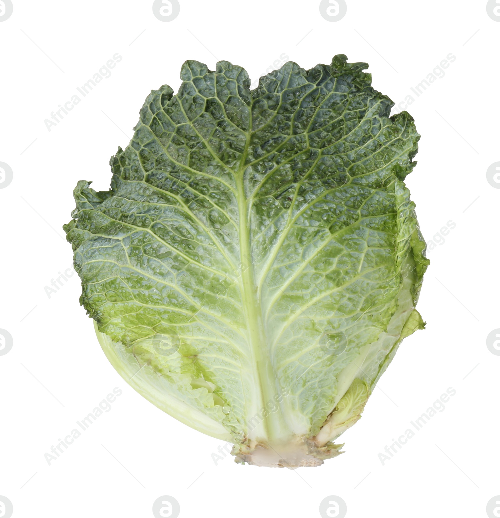Photo of One fresh Savoy cabbage isolated on white