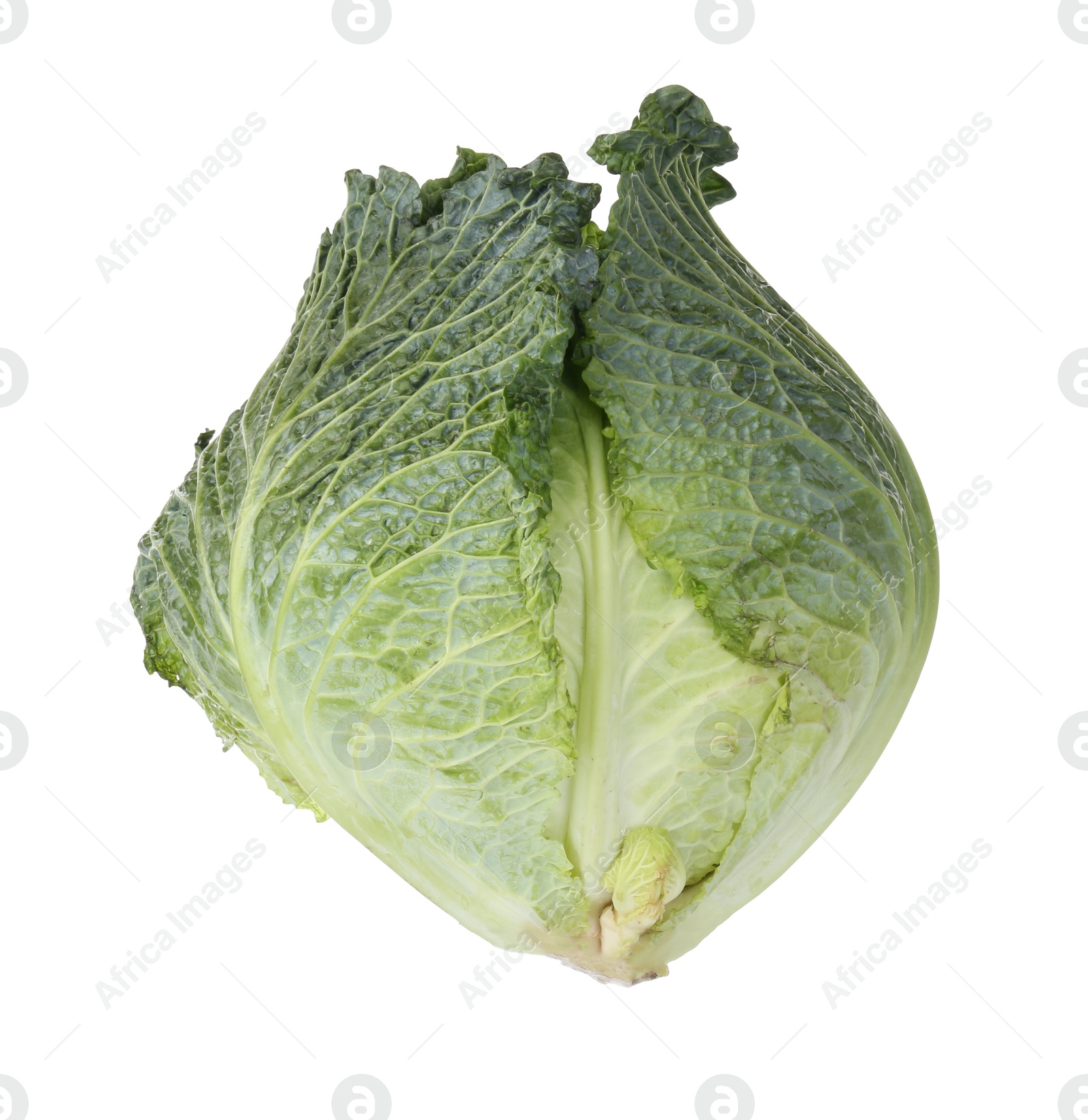 Photo of One fresh Savoy cabbage isolated on white
