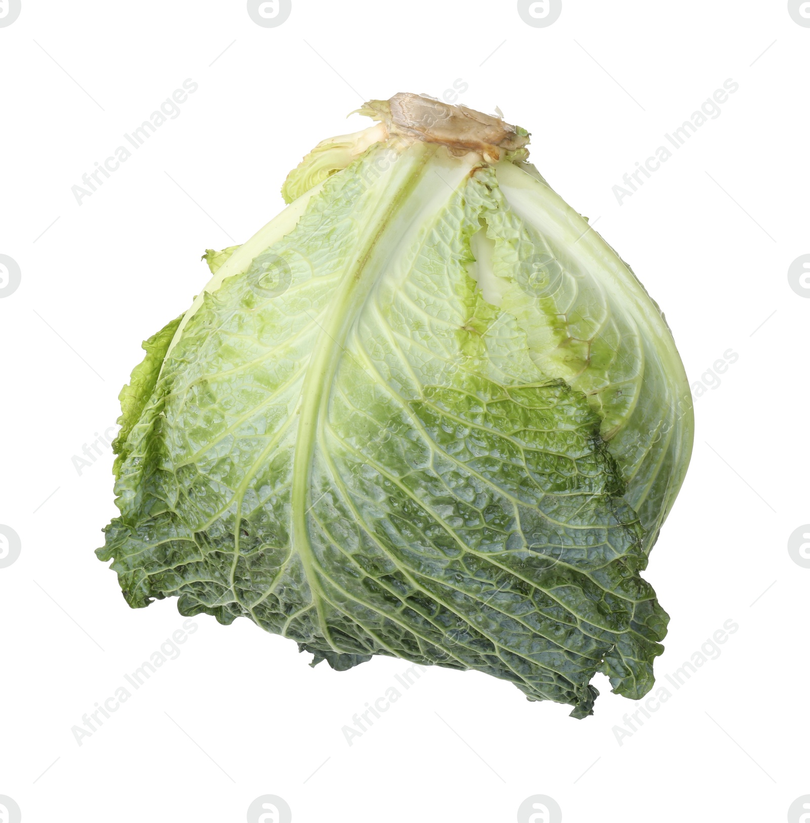 Photo of One fresh Savoy cabbage isolated on white