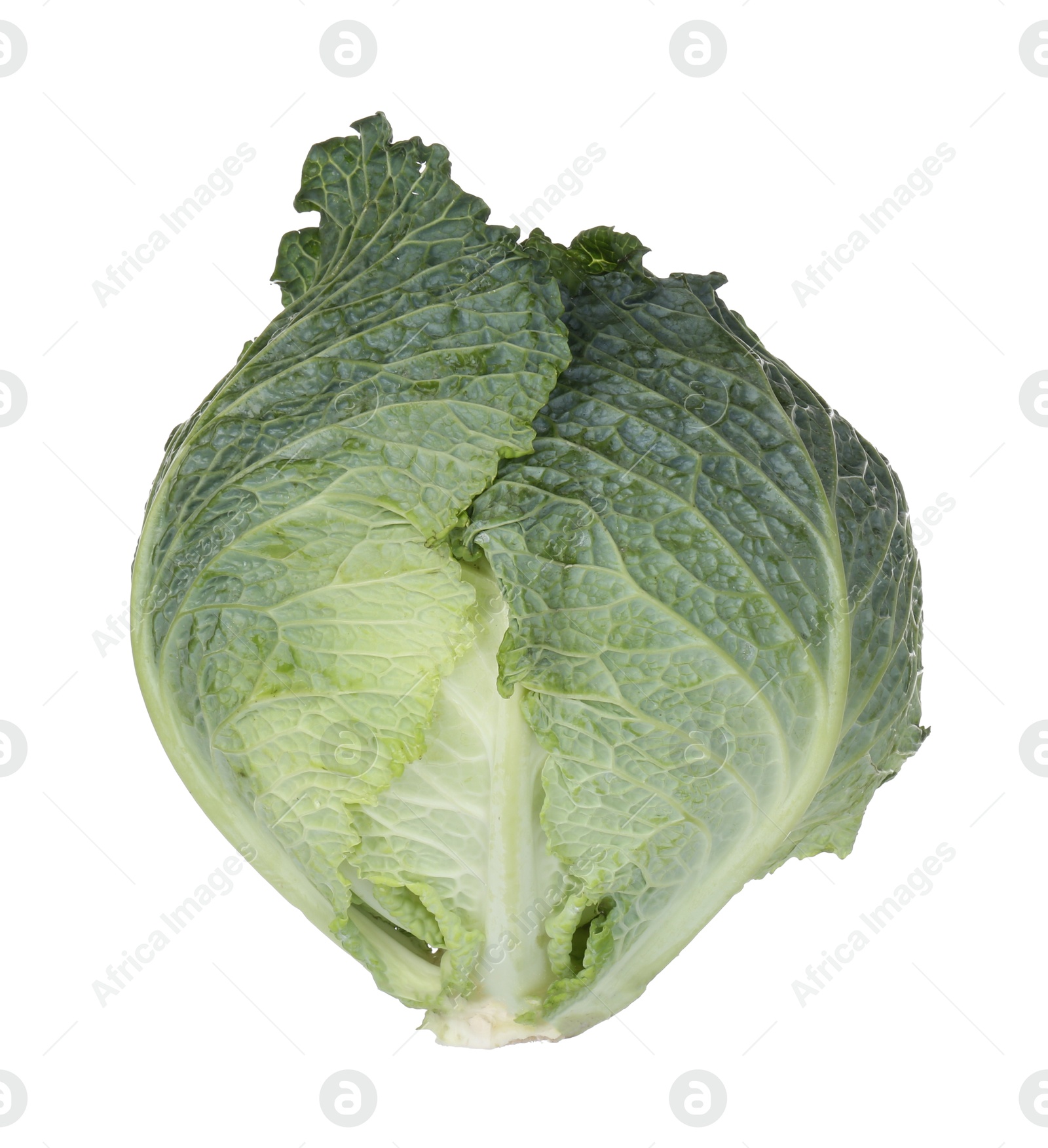 Photo of One fresh Savoy cabbage isolated on white
